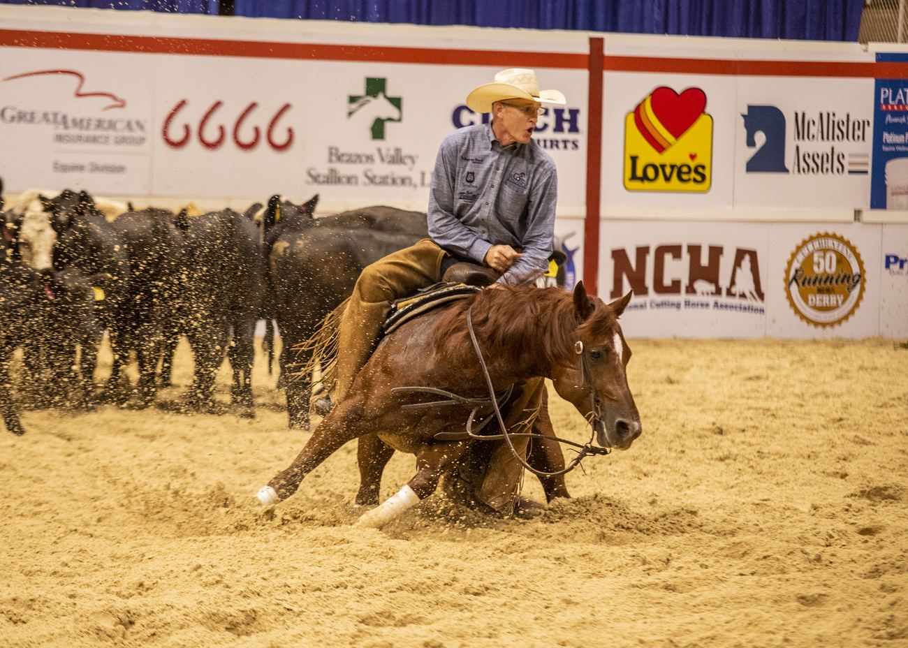 The Animal cutting with Paul Hansma