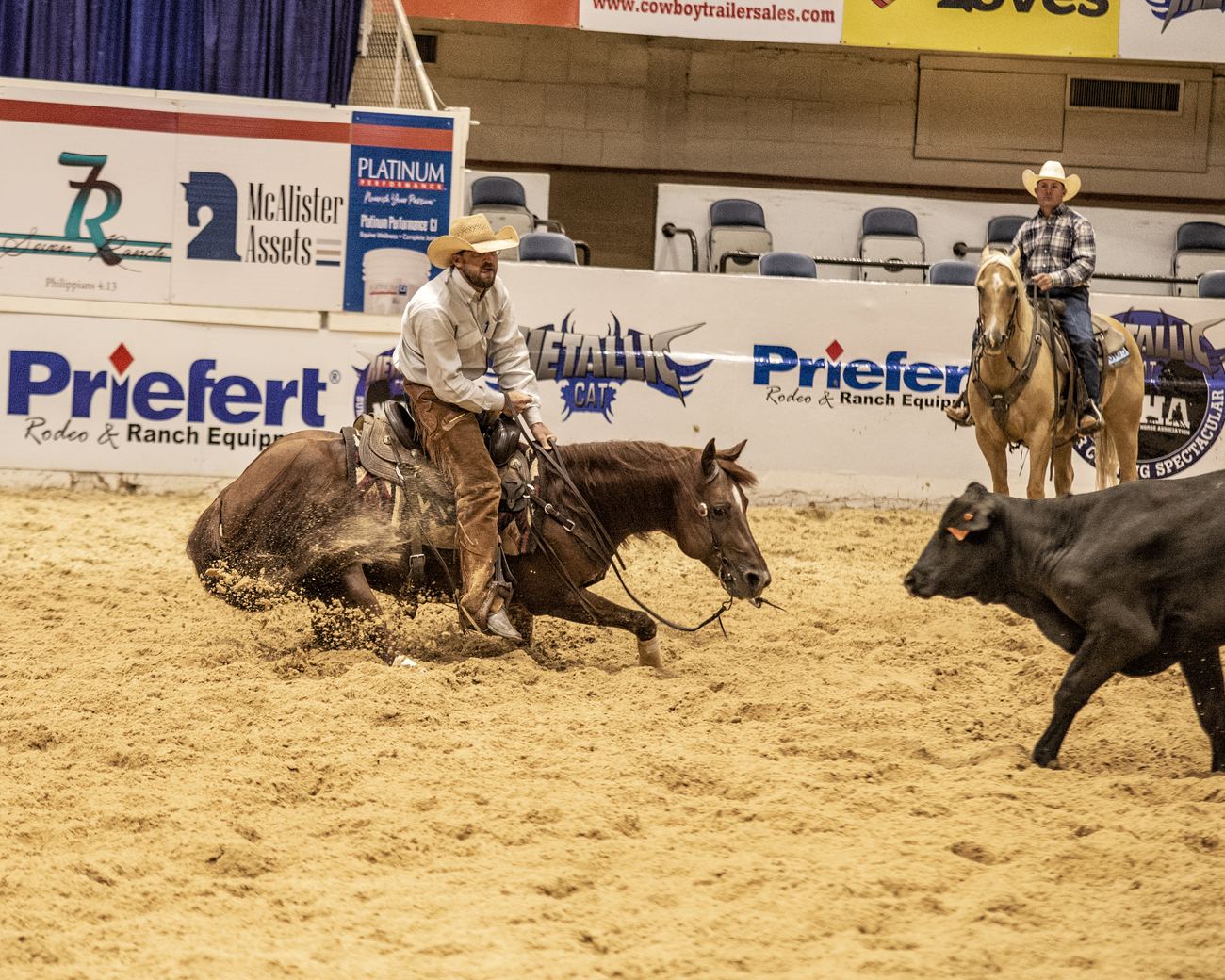 The Animal cutting with James Payne