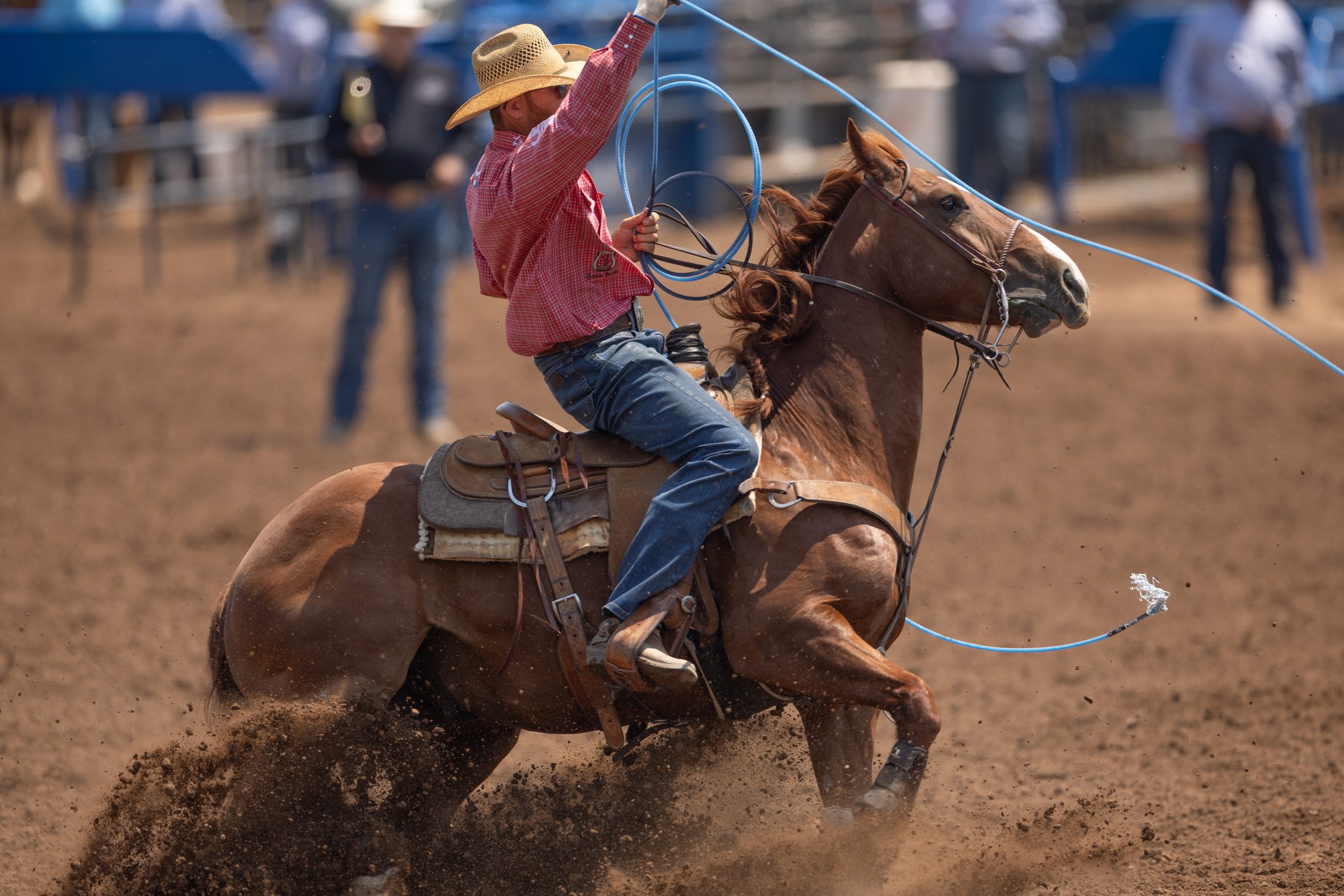 Smart Little Animal — rope horse by The Animal — heeling with NFR heeler Tyler Worley at the Cinch Timed Event Championship